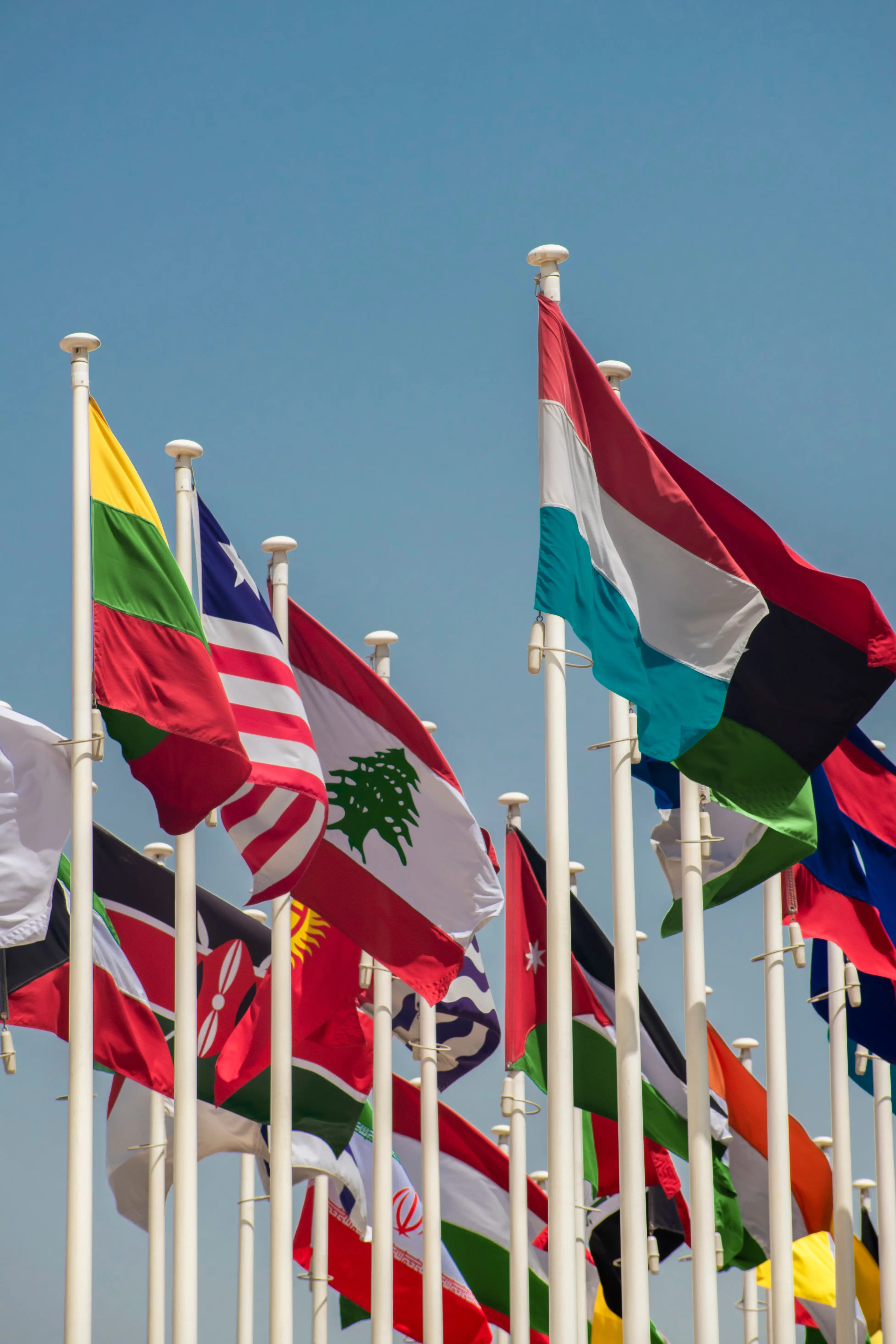 Flags at an international meeting