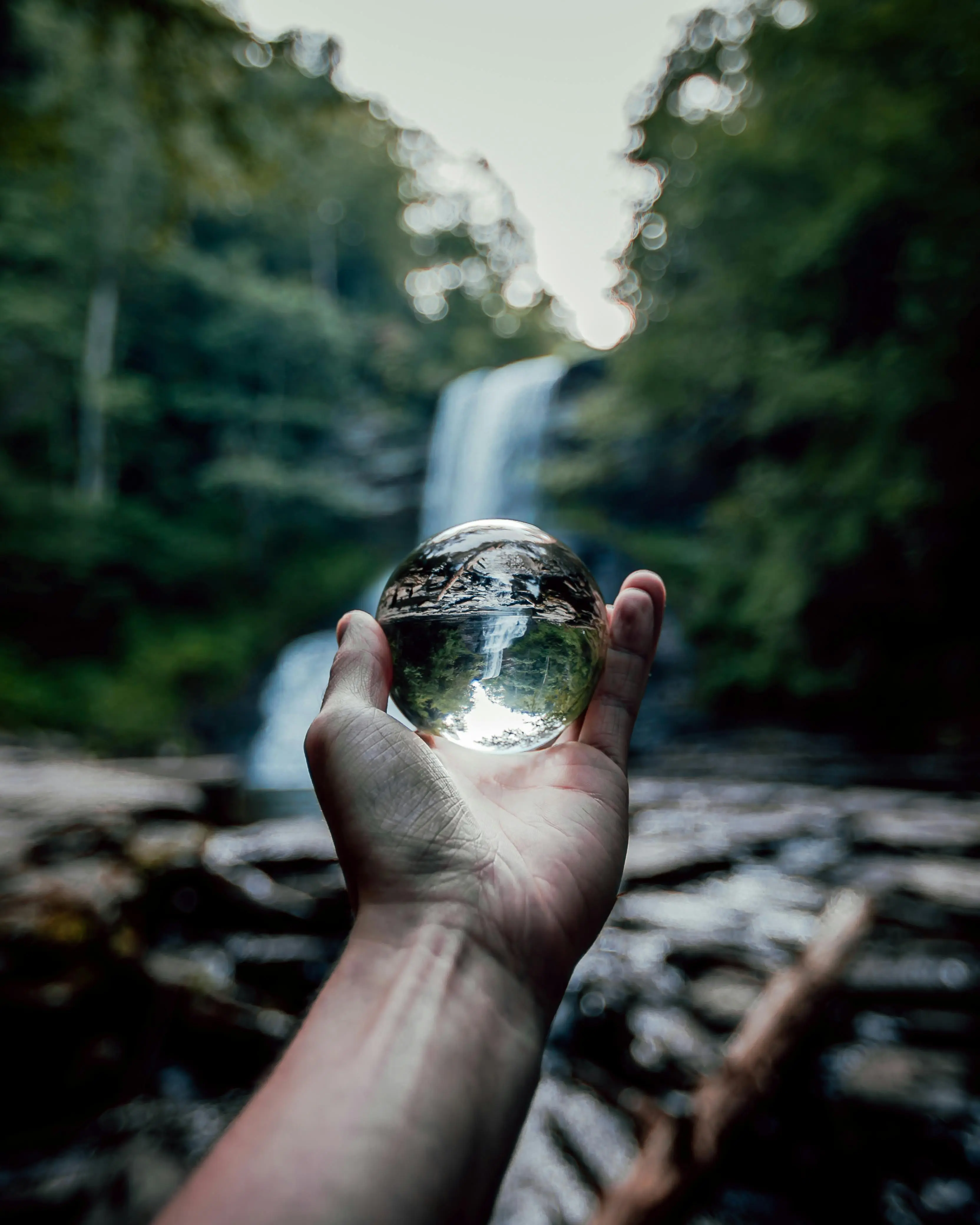 Waterfall in a forest